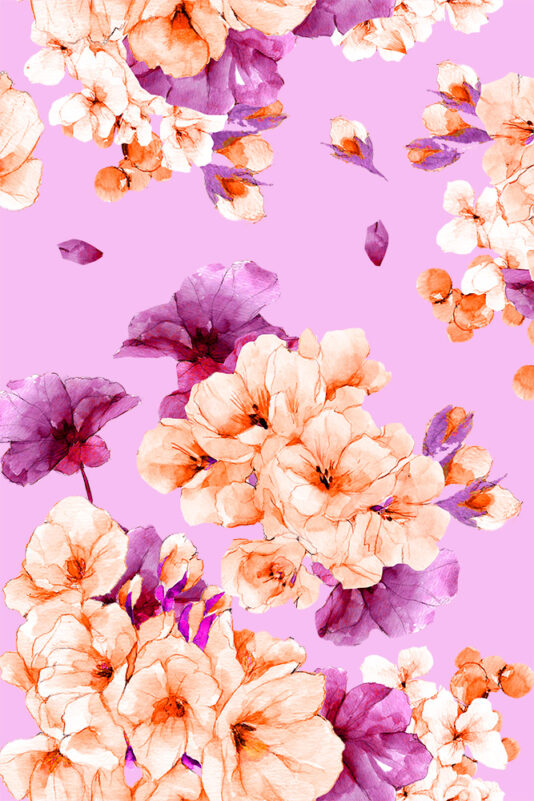 PELARGONIA laventeli - Melli EcoDesign