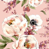 Pioni_whisper pink 1