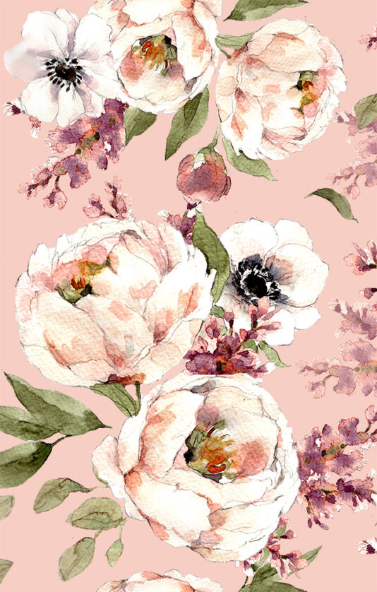 Pioni_whisper pink 1